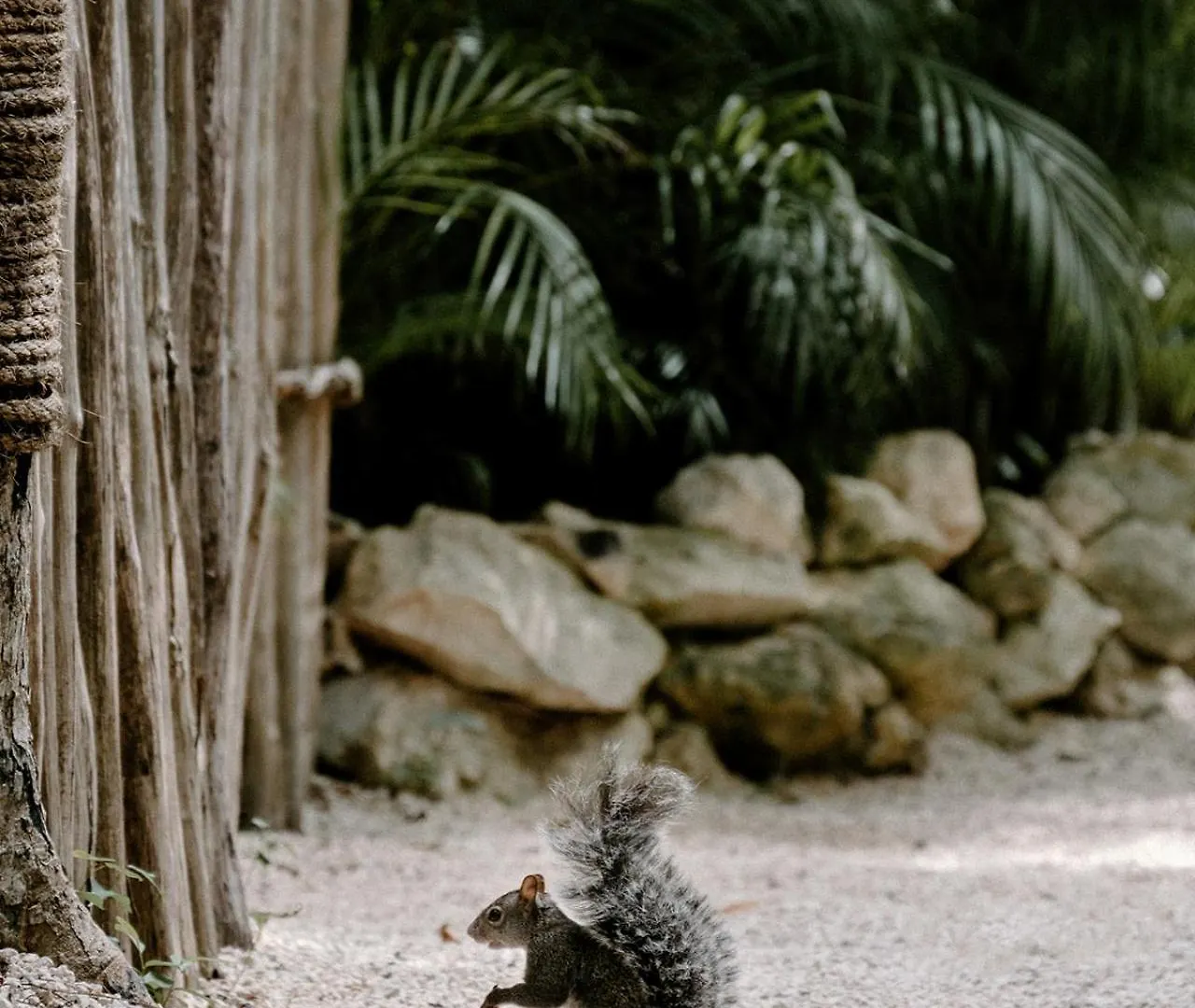 Hotel Bardo - Adults Only Tulum