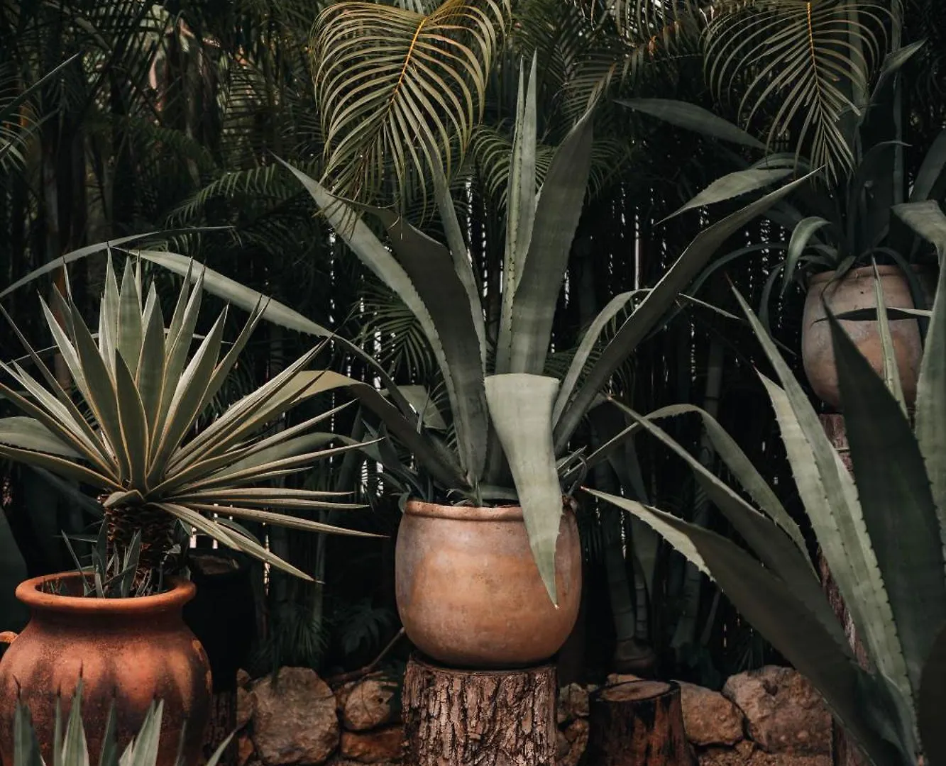 Hotel Bardo - Adults Only Tulum 5*,  Mexiko